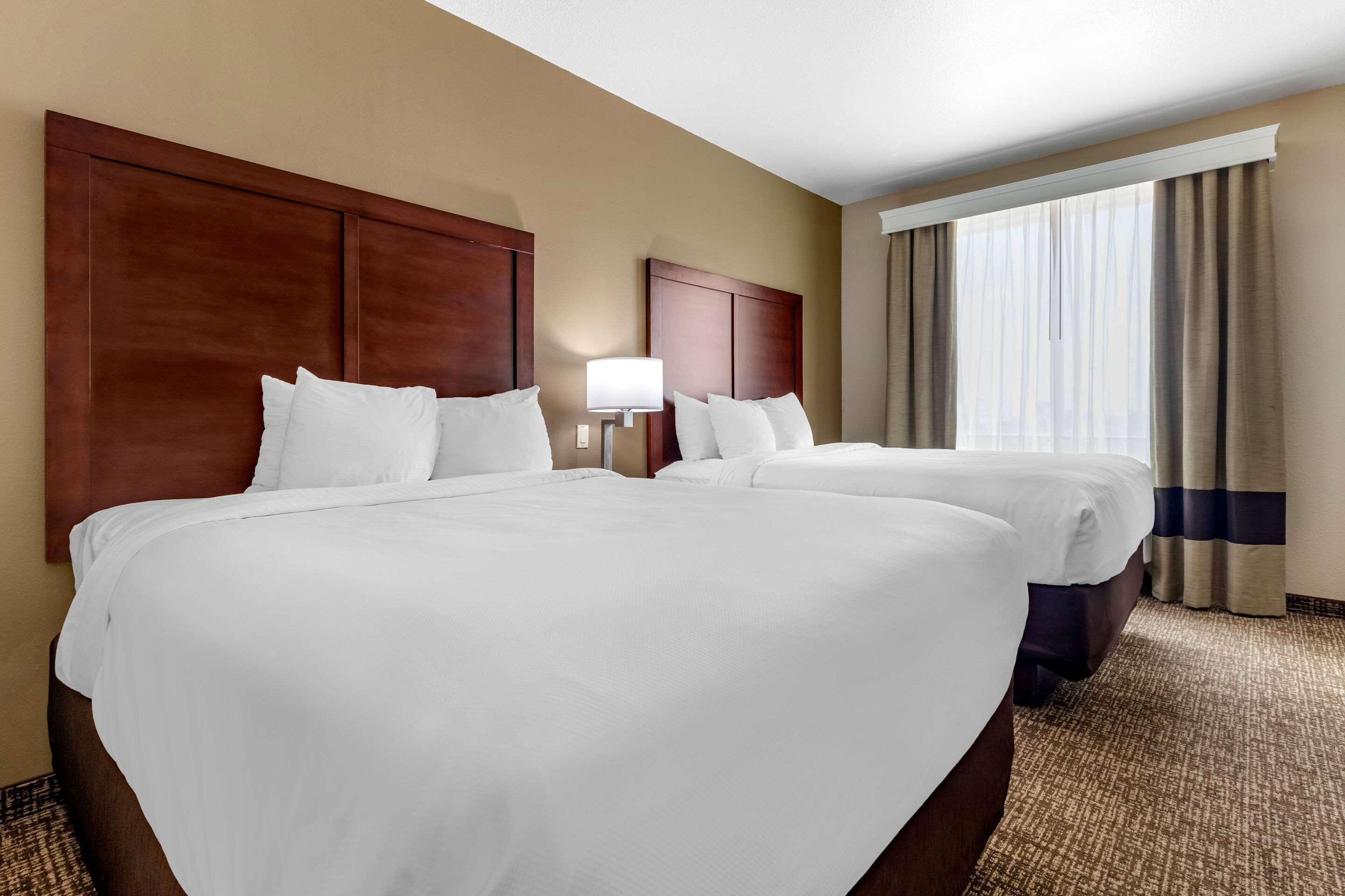 Comfort Inn & Suites Near Lake Lewisville Corinth Bagian luar foto